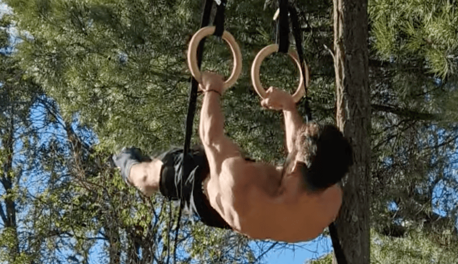 Athlète faisant un front lever sur anneaux de gymnastique, accroché à un arbre